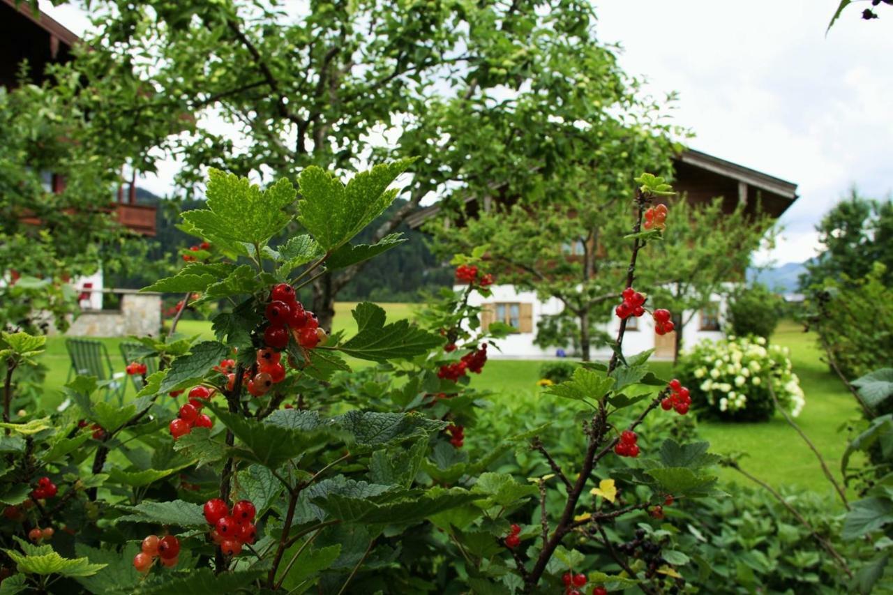 רייט אים וינקל Chalet Menkenhof מראה חיצוני תמונה